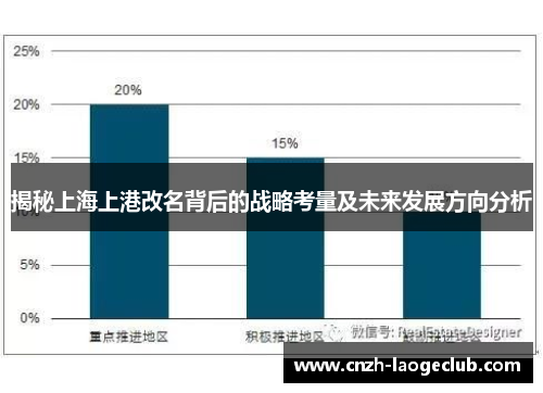 揭秘上海上港改名背后的战略考量及未来发展方向分析