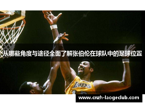 从哪些角度与途径全面了解张伯伦在球队中的足球位置