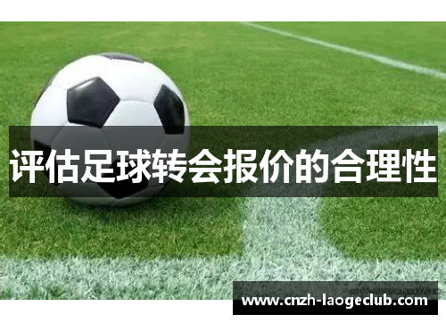 评估足球转会报价的合理性 评估足球转会报价的合理性