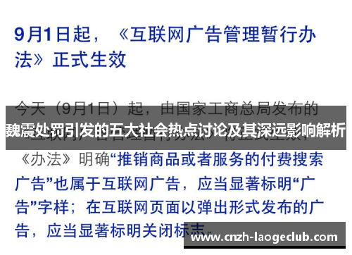 魏震处罚引发的五大社会热点讨论及其深远影响解析