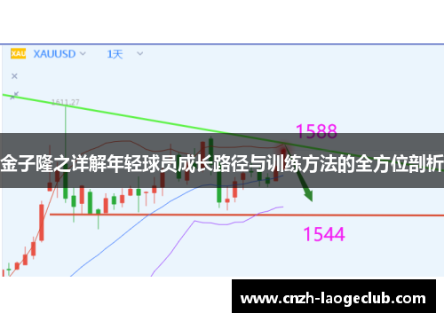 金子隆之详解年轻球员成长路径与训练方法的全方位剖析 金子隆之详解年轻球员成长路径与训练方法的全方位剖析